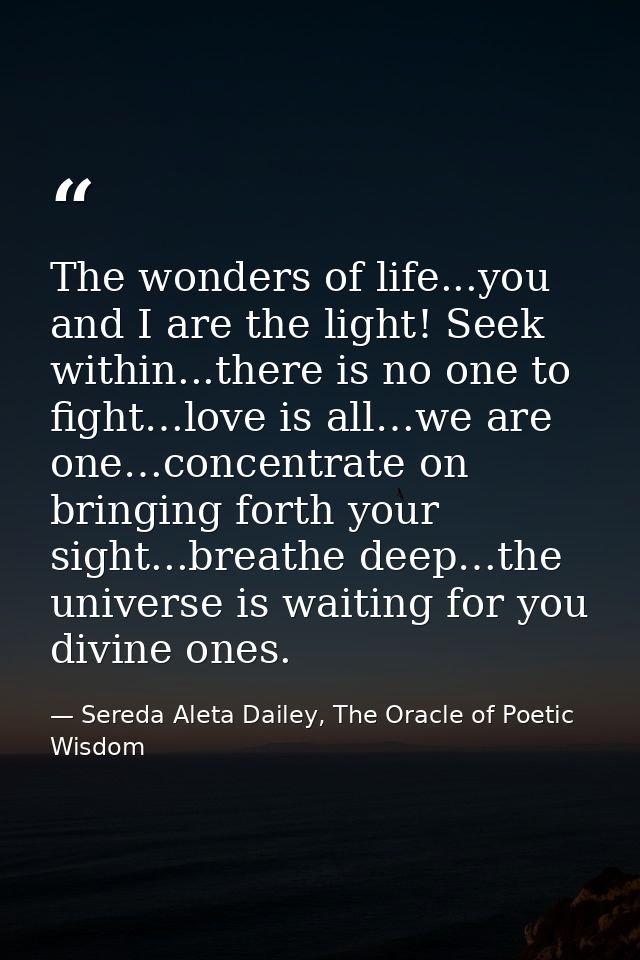 The wonders of life...you and I are the light! Seek within...there is no one to fight…love is all…we are one…concentrate — Sereda Aleta Dailey, The Oracle of Poetic Wisdom