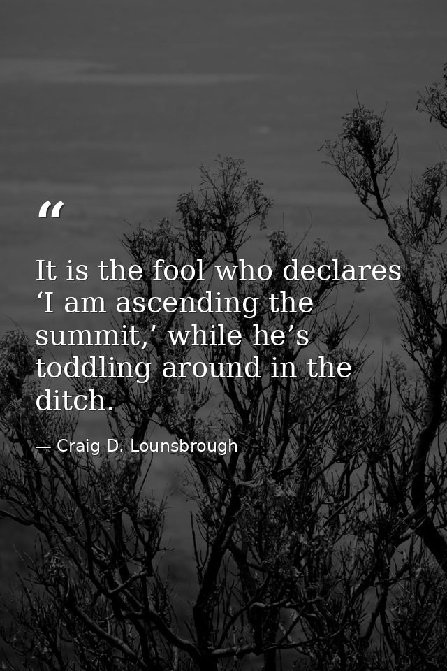 It is the fool who declares ‘I am ascending the summit,’ while he’s toddling around in the ditch. — Craig D. Lounsbrough
