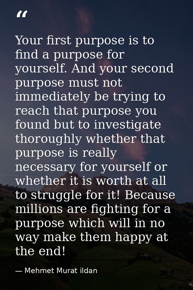 Your first purpose is to find a purpose for yourself. And your second purpose must not immediately be trying to reach th — Mehmet Murat ildan
