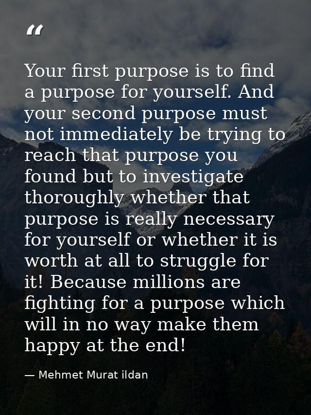 Your first purpose is to find a purpose for yourself. And your second purpose must not immediately be trying to reach th — Mehmet Murat ildan