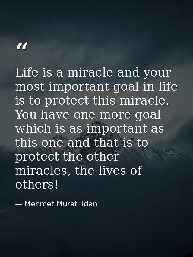 Life is a miracle and your most important goal in life is to protect this miracle. You have one more goal which is as im — Mehmet Murat ildan