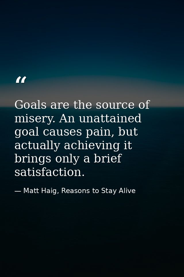 Goals are the source of misery. An unattained goal causes pain, but actually achieving it brings only a brief satisfacti — Matt Haig, Reasons to Stay Alive