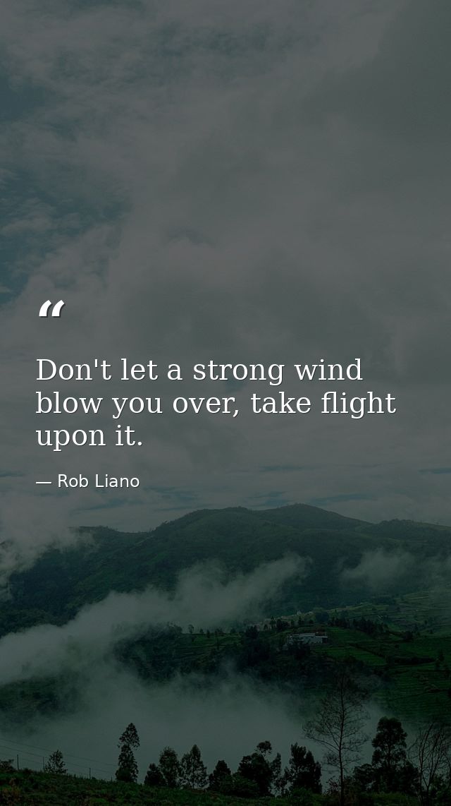 Don't let a strong wind blow you over, take flight upon it. — Rob Liano