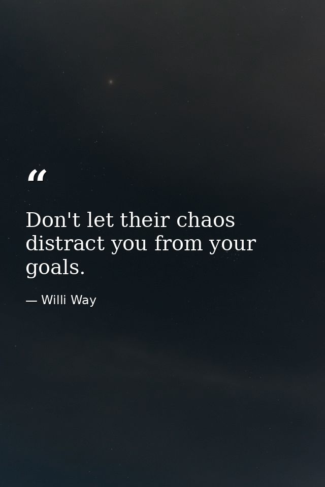 Don't let their chaos distract you from your goals. — Willi Way