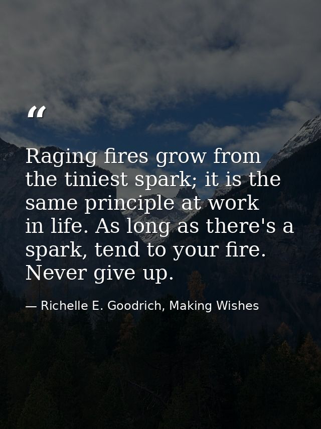 Raging fires grow from the tiniest spark; it is the same principle at work in life. As long as there's a spark, tend to  — Richelle E. Goodrich, Making Wishes
