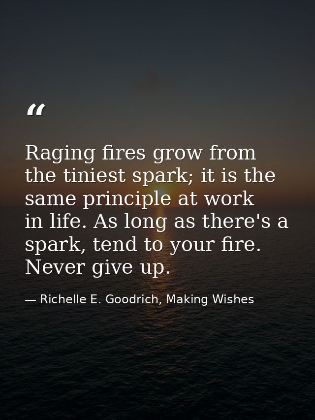 Raging fires grow from the tiniest spark; it is the same principle at work in life. As long as there's a spark, tend to  — Richelle E. Goodrich, Making Wishes