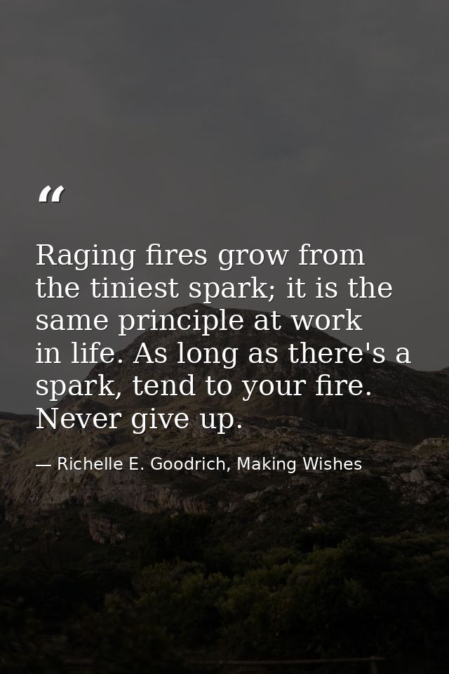 Raging fires grow from the tiniest spark; it is the same principle at work in life. As long as there's a spark, tend to  — Richelle E. Goodrich, Making Wishes