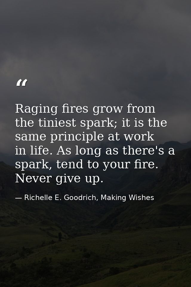 Raging fires grow from the tiniest spark; it is the same principle at work in life. As long as there's a spark, tend to  — Richelle E. Goodrich, Making Wishes