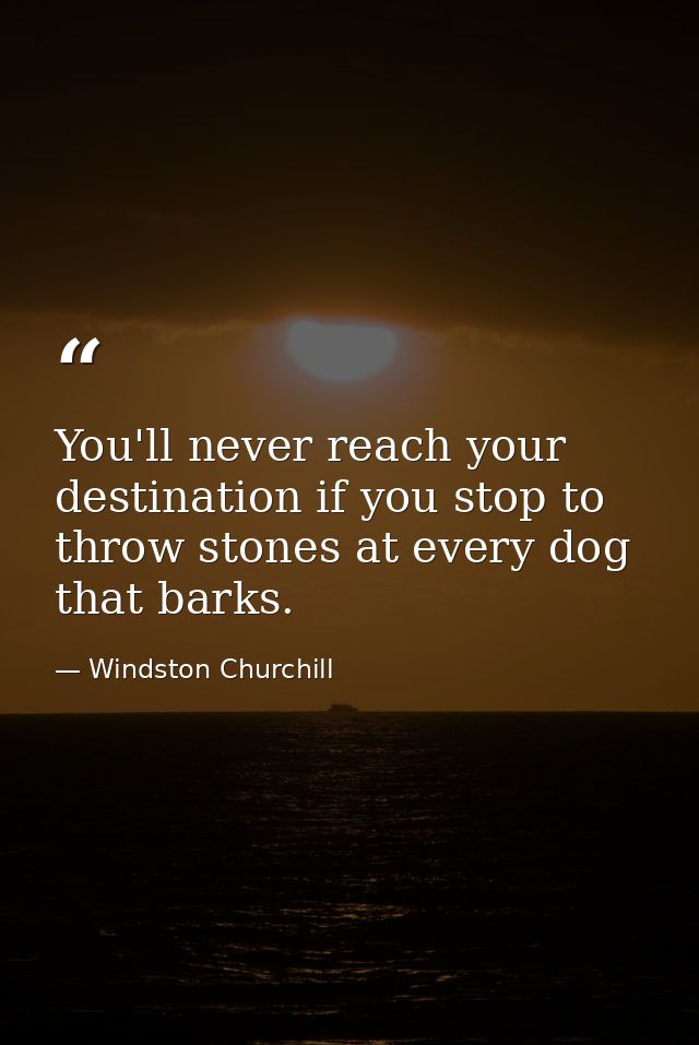 You'll never reach your destination if you stop to throw stones at every dog that barks. — Windston Churchill
