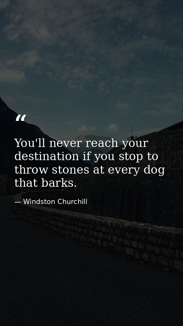 You'll never reach your destination if you stop to throw stones at every dog that barks. — Windston Churchill