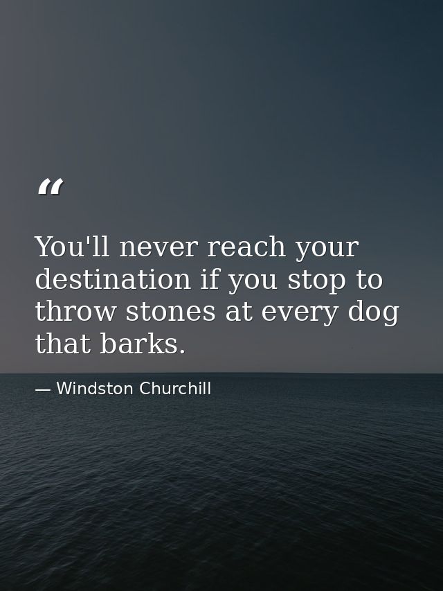 You'll never reach your destination if you stop to throw stones at every dog that barks. — Windston Churchill