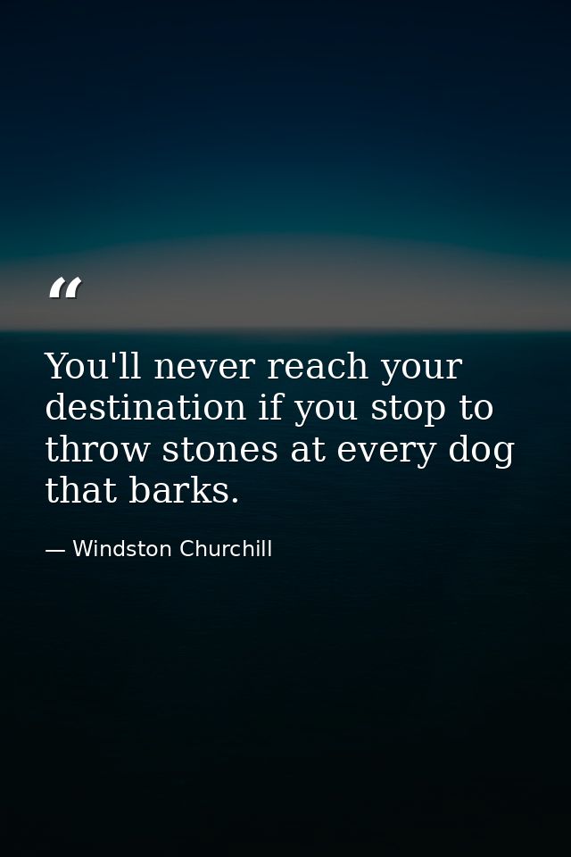 You'll never reach your destination if you stop to throw stones at every dog that barks. — Windston Churchill