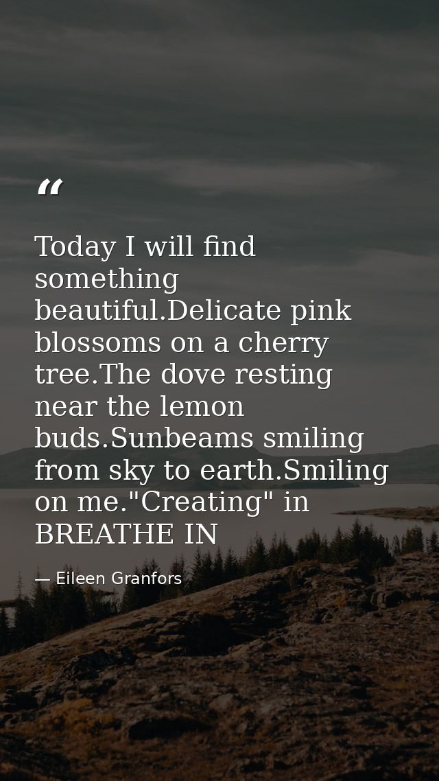 Today I will find something beautiful.Delicate pink blossoms on a cherry tree.The dove resting near the lemon buds.Sunbe — Eileen Granfors