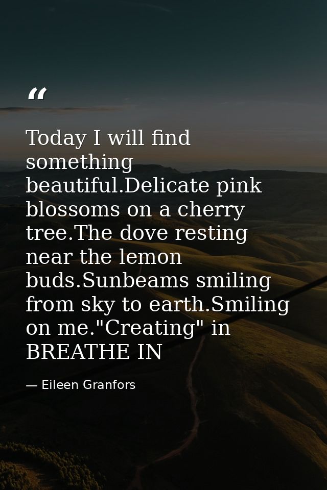Today I will find something beautiful.Delicate pink blossoms on a cherry tree.The dove resting near the lemon buds.Sunbe — Eileen Granfors