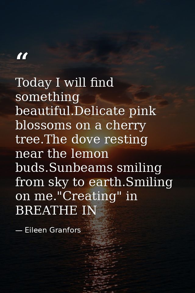 Today I will find something beautiful.Delicate pink blossoms on a cherry tree.The dove resting near the lemon buds.Sunbe — Eileen Granfors