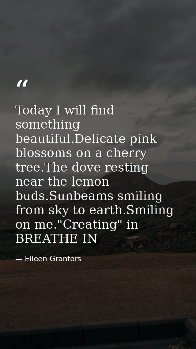 Today I will find something beautiful.Delicate pink blossoms on a cherry tree.The dove resting near the lemon buds.Sunbe — Eileen Granfors