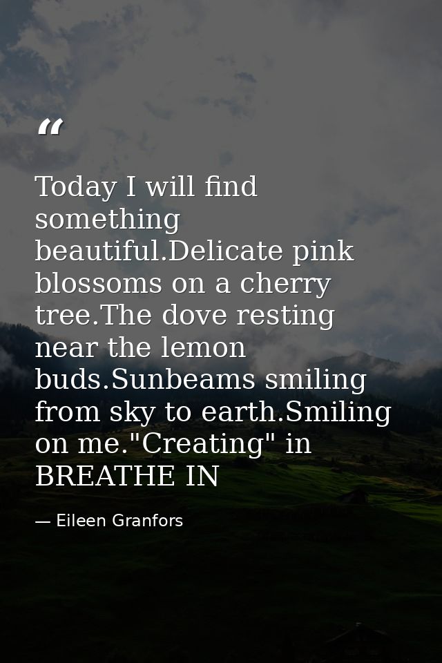 Today I will find something beautiful.Delicate pink blossoms on a cherry tree.The dove resting near the lemon buds.Sunbe — Eileen Granfors
