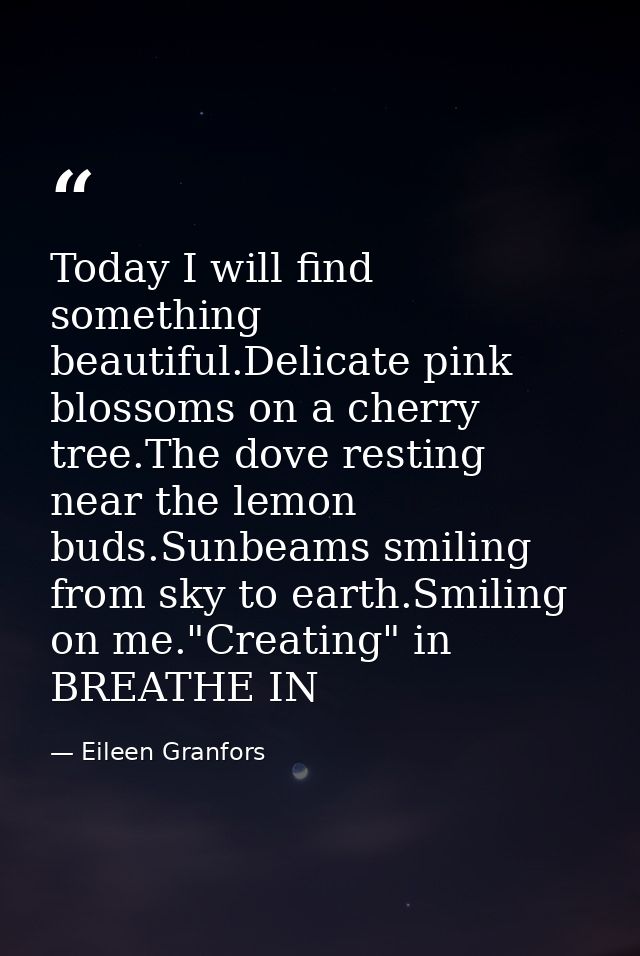 Today I will find something beautiful.Delicate pink blossoms on a cherry tree.The dove resting near the lemon buds.Sunbe — Eileen Granfors