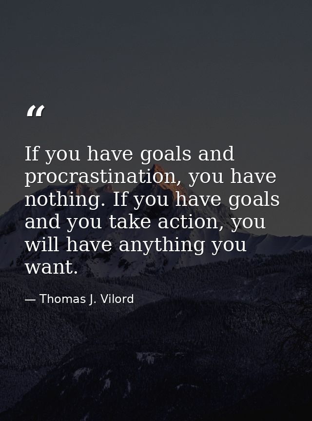 If you have goals and procrastination, you have nothing. If you have goals and you take action, you will have anything y — Thomas J. Vilord