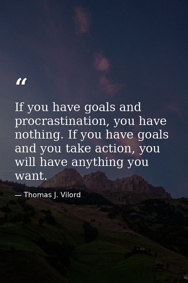 If you have goals and procrastination, you have nothing. If you have goals and you take action, you will have anything y — Thomas J. Vilord