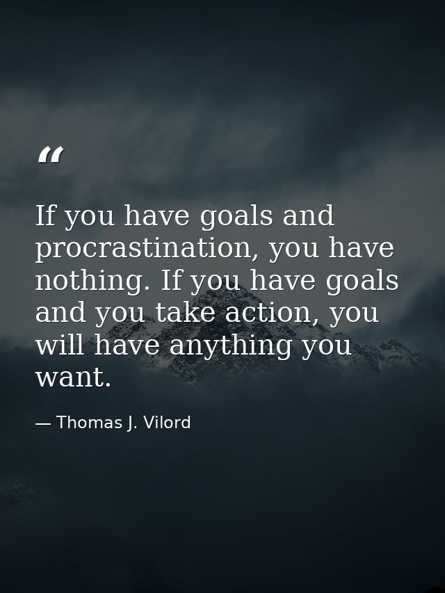 If you have goals and procrastination, you have nothing. If you have goals and you take action, you will have anything y — Thomas J. Vilord