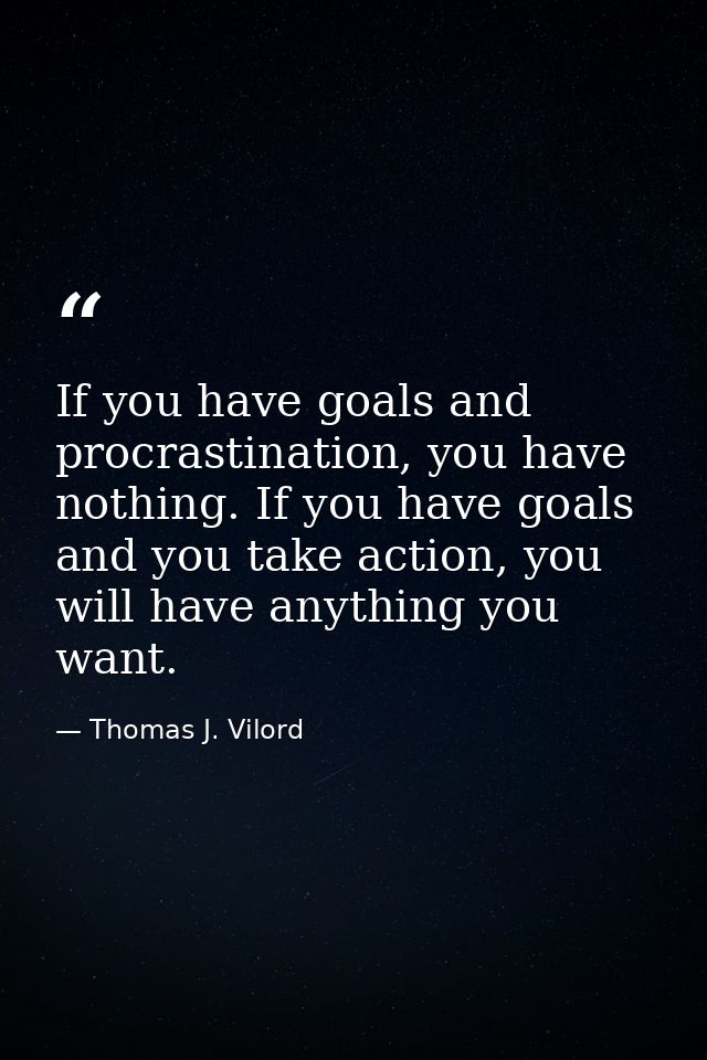 If you have goals and procrastination, you have nothing. If you have goals and you take action, you will have anything y — Thomas J. Vilord