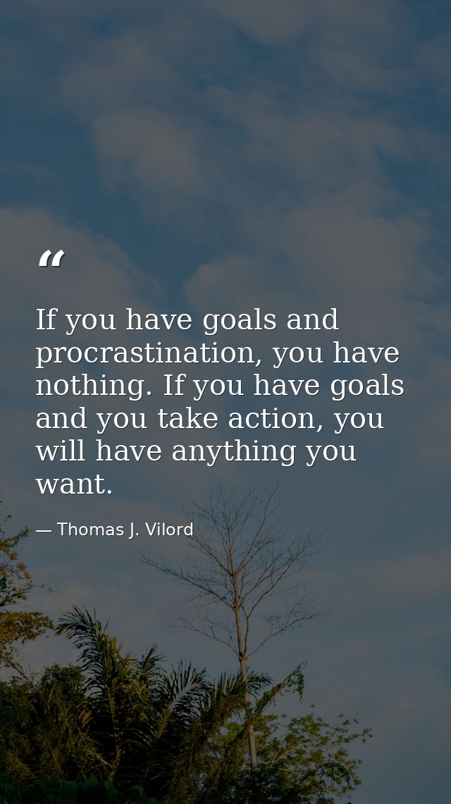 If you have goals and procrastination, you have nothing. If you have goals and you take action, you will have anything y — Thomas J. Vilord