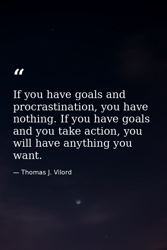 If you have goals and procrastination, you have nothing. If you have goals and you take action, you will have anything y — Thomas J. Vilord
