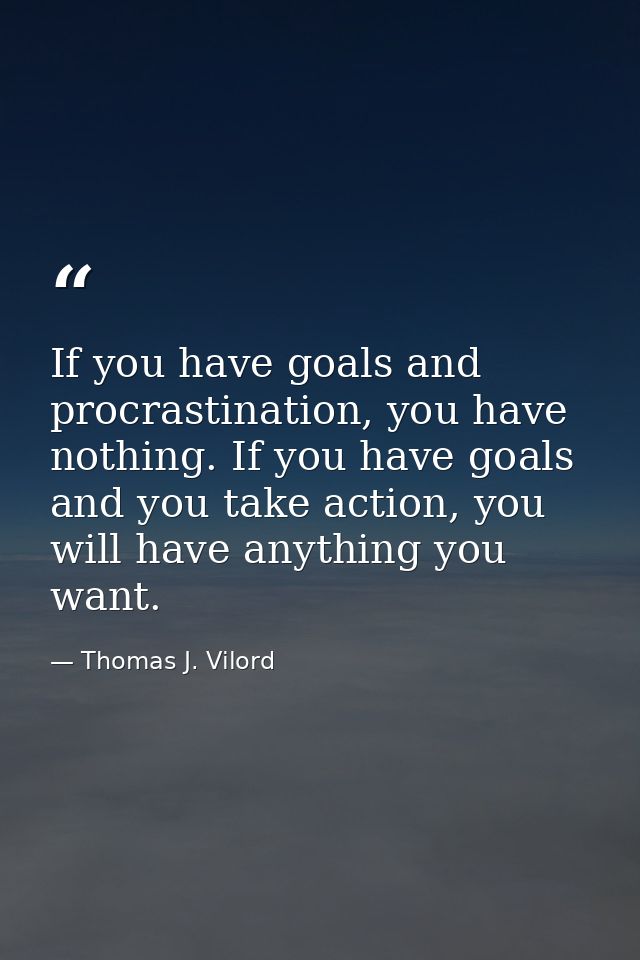 If you have goals and procrastination, you have nothing. If you have goals and you take action, you will have anything y — Thomas J. Vilord