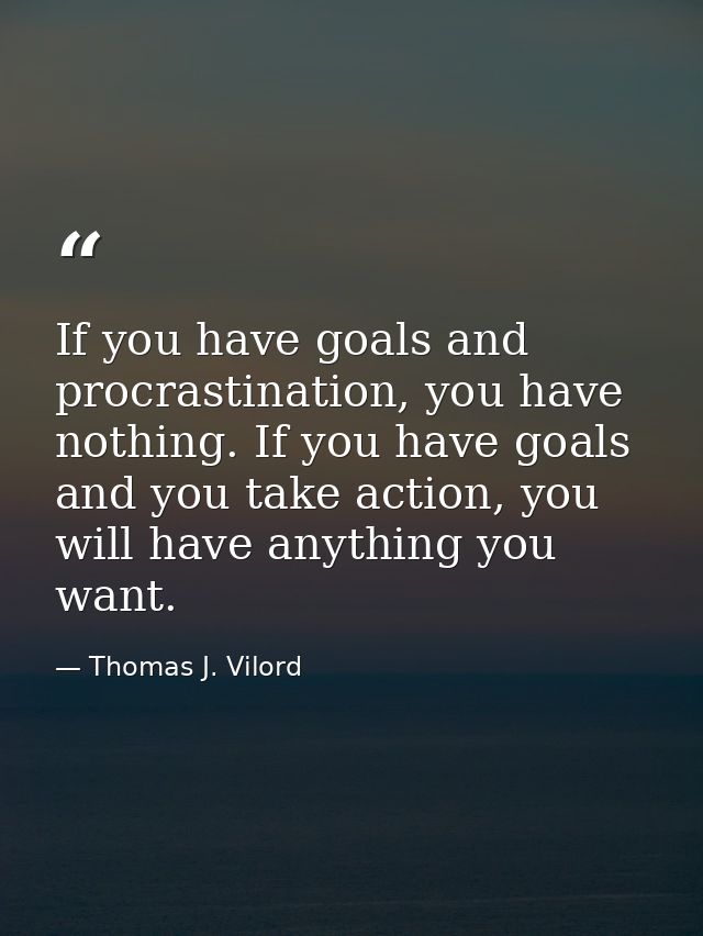 If you have goals and procrastination, you have nothing. If you have goals and you take action, you will have anything y — Thomas J. Vilord