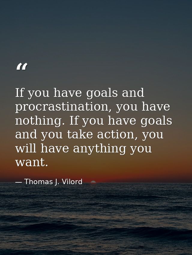 If you have goals and procrastination, you have nothing. If you have goals and you take action, you will have anything y — Thomas J. Vilord