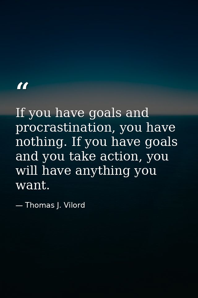 If you have goals and procrastination, you have nothing. If you have goals and you take action, you will have anything y — Thomas J. Vilord