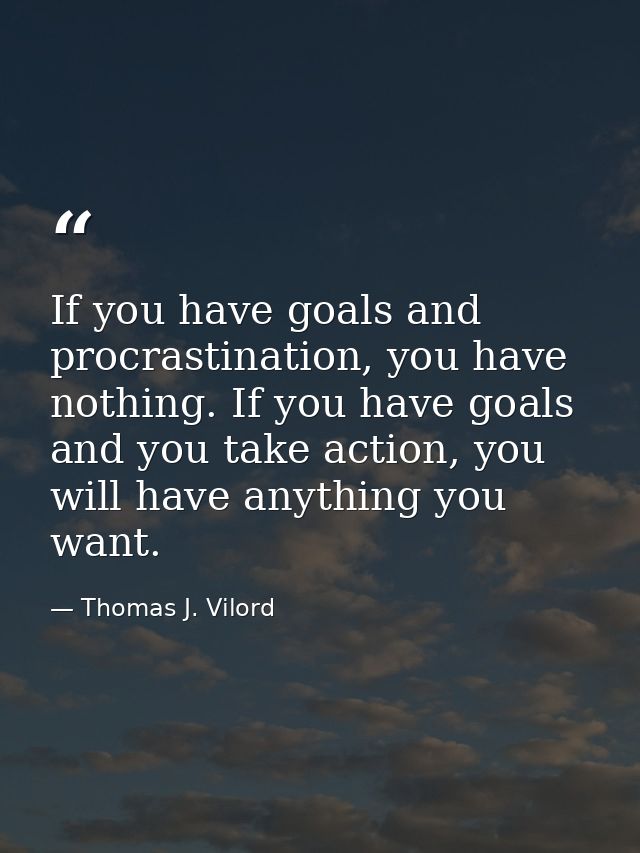 If you have goals and procrastination, you have nothing. If you have goals and you take action, you will have anything y — Thomas J. Vilord