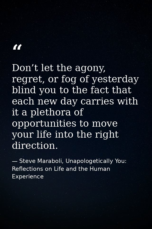 Don’t let the agony, regret, or fog of yesterday blind you to the fact that each new day carries with it a plethora of o — Steve Maraboli, Unapologetically You: Reflections on Life and the Human Experience