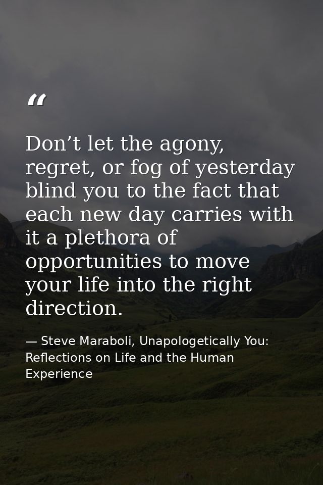 Don’t let the agony, regret, or fog of yesterday blind you to the fact that each new day carries with it a plethora of o — Steve Maraboli, Unapologetically You: Reflections on Life and the Human Experience