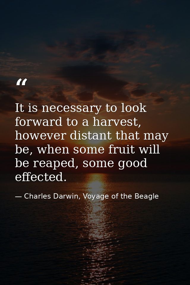 It is necessary to look forward to a harvest, however distant that may be, when some fruit will be reaped, some good eff — Charles Darwin, Voyage of the Beagle