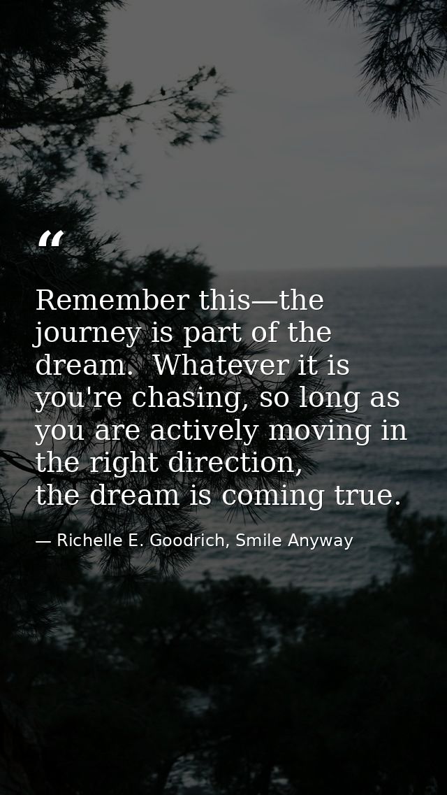 Remember this—the journey is part of the dream.  Whatever it is you're chasing, so long as you are actively moving in th — Richelle E. Goodrich, Smile Anyway