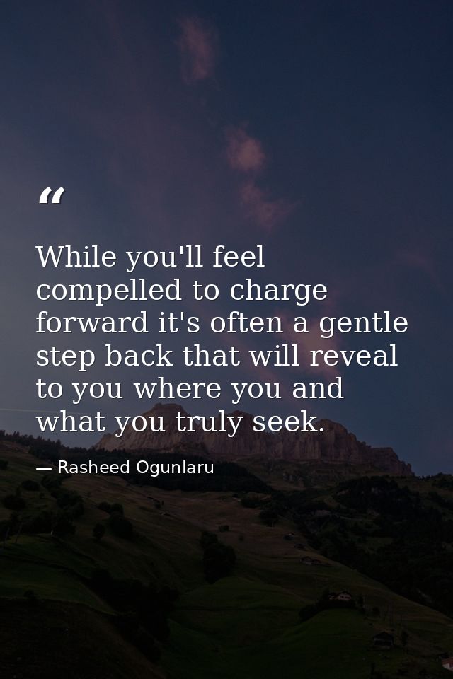 While you'll feel compelled to charge forward it's often a gentle step back that will reveal to you where you and what y — Rasheed Ogunlaru