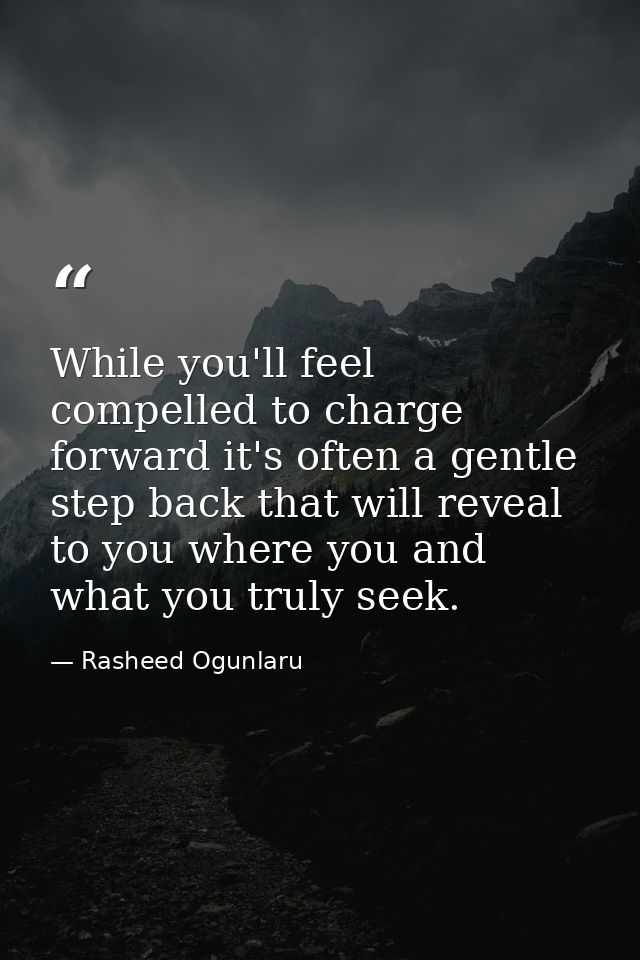 While you'll feel compelled to charge forward it's often a gentle step back that will reveal to you where you and what y — Rasheed Ogunlaru