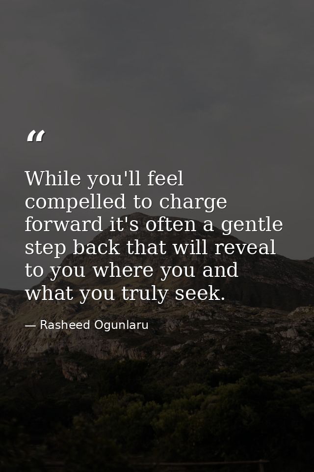 While you'll feel compelled to charge forward it's often a gentle step back that will reveal to you where you and what y — Rasheed Ogunlaru