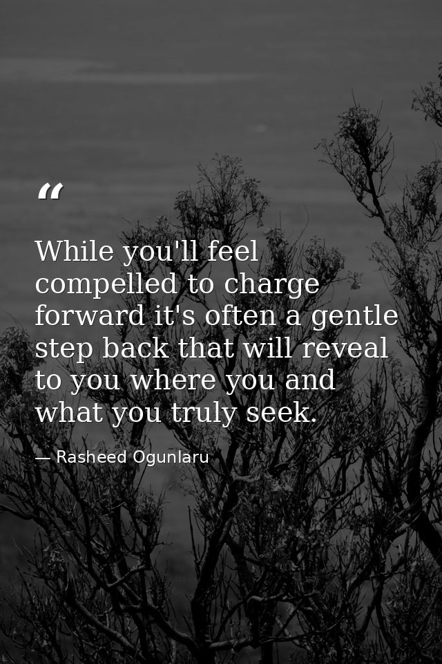 While you'll feel compelled to charge forward it's often a gentle step back that will reveal to you where you and what y — Rasheed Ogunlaru