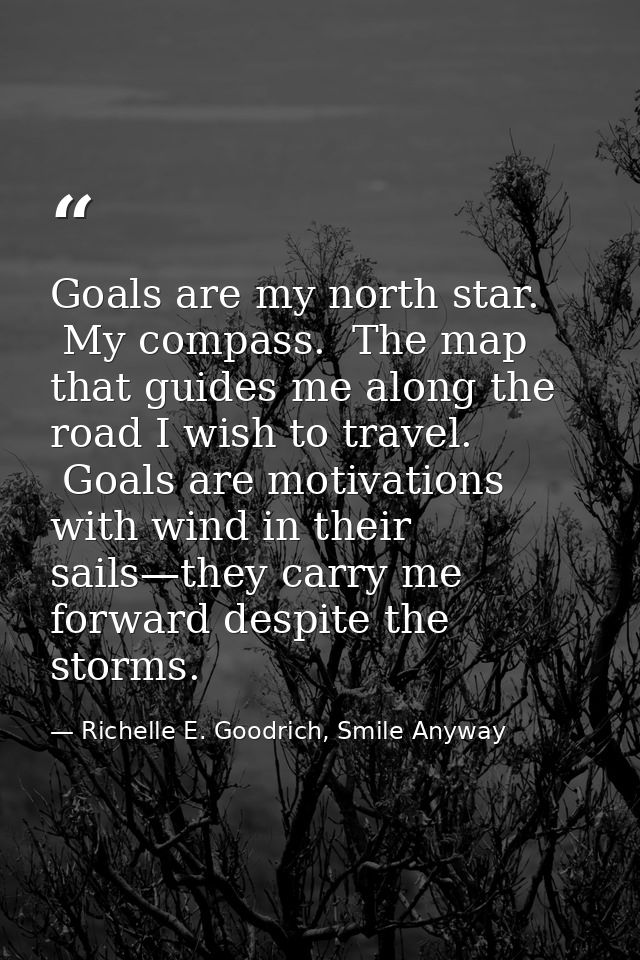 Goals are my north star.  My compass.  The map that guides me along the road I wish to travel.  Goals are motivations wi — Richelle E. Goodrich, Smile Anyway