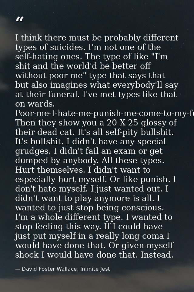 I think there must be probably different types of suicides. I'm not one of the self-hating ones. The type of like "I'm s — David Foster Wallace, Infinite Jest