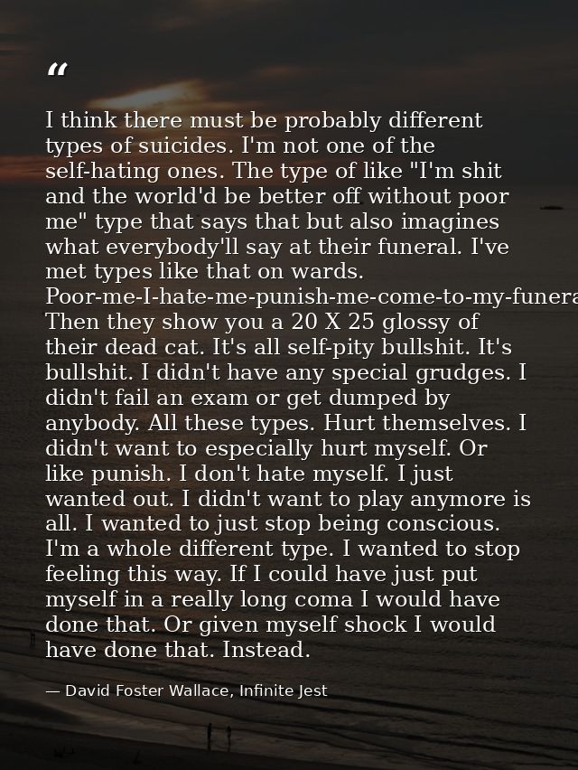 I think there must be probably different types of suicides. I'm not one of the self-hating ones. The type of like "I'm s — David Foster Wallace, Infinite Jest