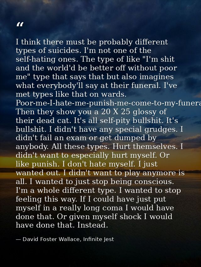 I think there must be probably different types of suicides. I'm not one of the self-hating ones. The type of like "I'm s — David Foster Wallace, Infinite Jest