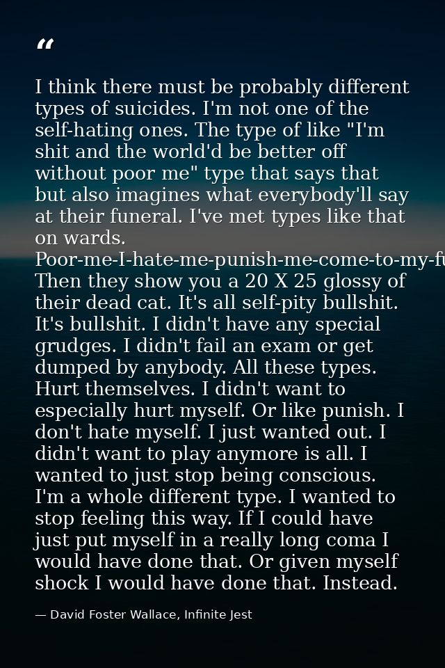 I think there must be probably different types of suicides. I'm not one of the self-hating ones. The type of like "I'm s — David Foster Wallace, Infinite Jest