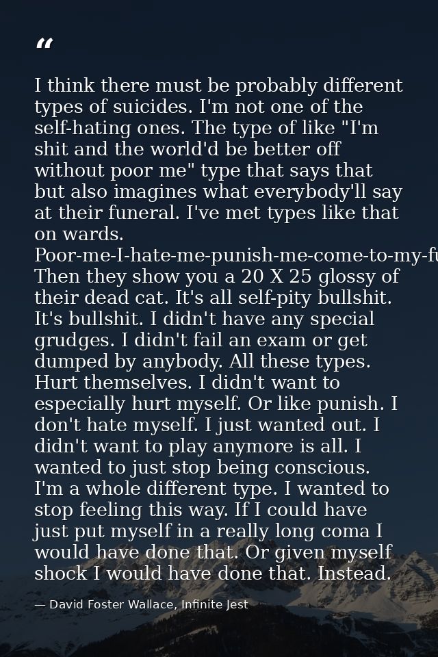 I think there must be probably different types of suicides. I'm not one of the self-hating ones. The type of like "I'm s — David Foster Wallace, Infinite Jest