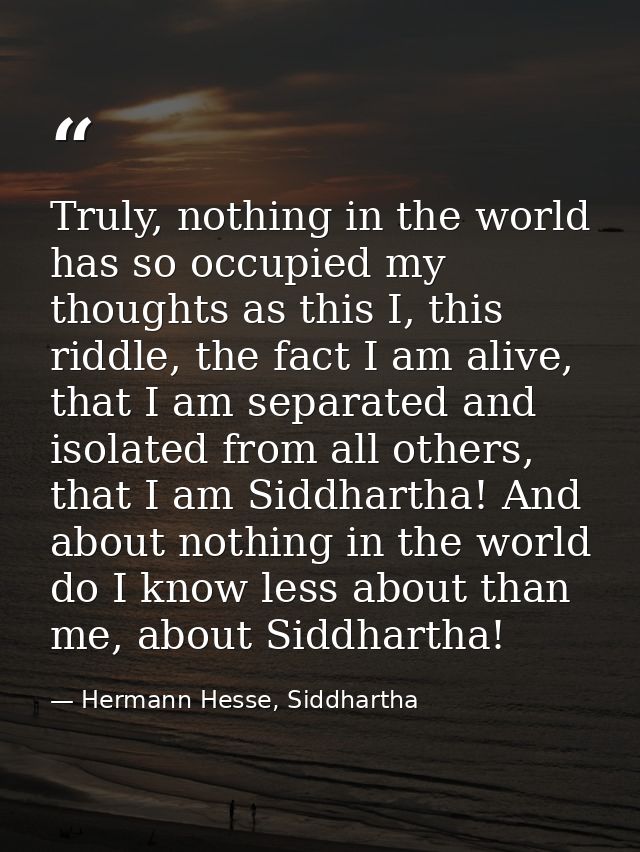Truly, nothing in the world has so occupied my thoughts as this I, this riddle, the fact I am alive, that I am separated — Hermann Hesse, Siddhartha