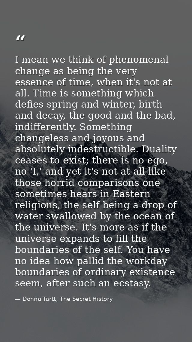 I mean we think of phenomenal change as being the very essence of time, when it's not at all. Time is something which de — Donna Tartt, The Secret History