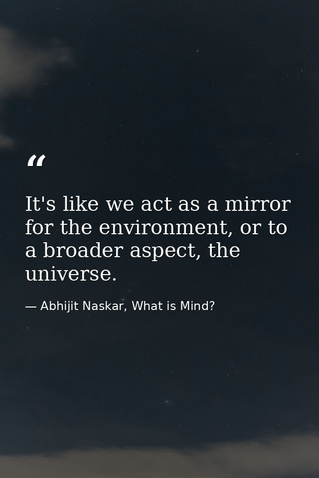 It's like we act as a mirror for the environment, or to a broader aspect, the universe. — Abhijit Naskar, What is Mind?